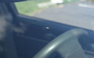 Chipped windshield